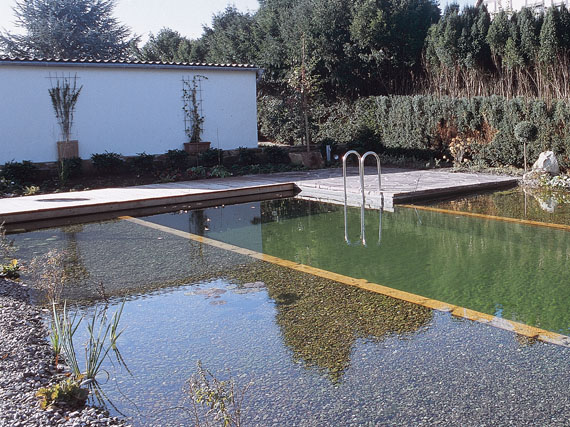 Estanques-piscina: un lago en casa